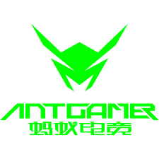 AntGamer готовит монитор 1000 Гц
