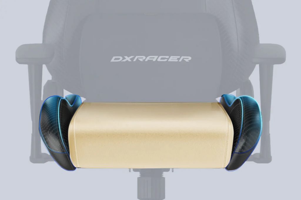 Компьютерное игровое кресло DXRacer OH/DXL23/NR серии Drifting