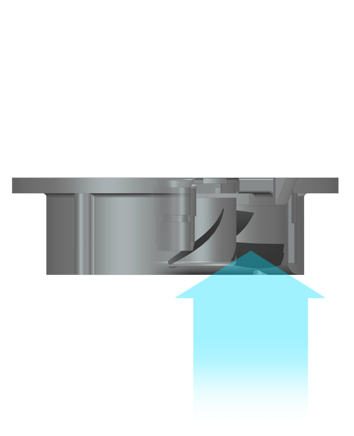 bg1.gif