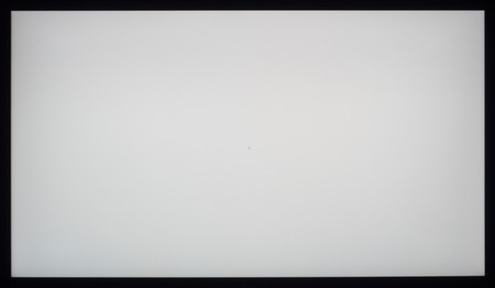 105_ravn_white.jpg