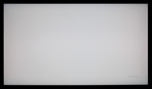 65_ravn_gray1.jpg