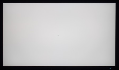 106_ravn_white.jpg