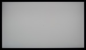 106_ravn_gray1.jpg