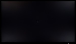 100_ravn_black1.jpg
