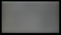96_ravn_gray1.jpg