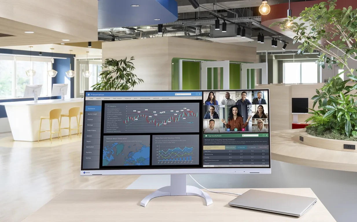 Монитор Eizo ColorEdge EV3451X