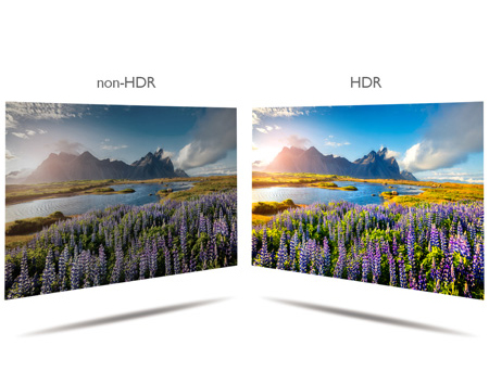 BenQ SW320