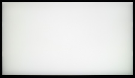99_ravn_white.jpg