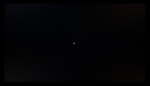 117_ravn_black1.jpg