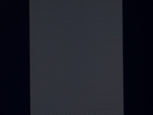 115_shim100.jpg