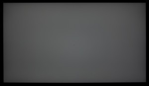 108_ravn_gray3.jpg