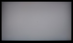 106_ravn_gray2.jpg