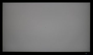 108_ravn_gray2.jpg