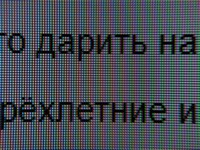 122_text3.jpg
