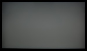 100_ravn_gray3.jpg