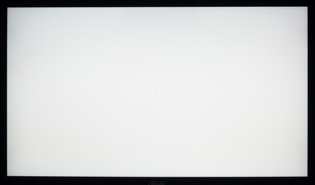 97_ravn_white.jpg