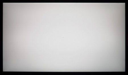 100_ravn_white.jpg