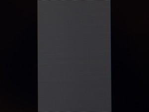 112_shim100.jpg