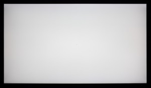 123_ravn_white2.jpg