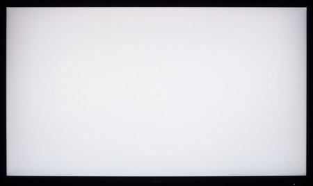 104_ravn_white.jpg