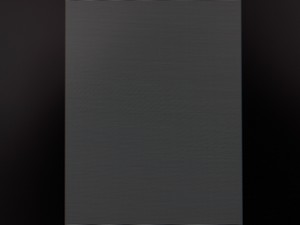 119_shim100.jpg