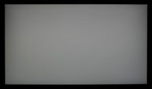 99_ravn_gray2.jpg