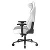 Компьютерное кресло DXRacer CRA/DL5000/THINKER - фото 4