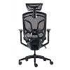 Премиум эргономичное кресло GT Chair Dvary X, чёрный (GTC-Dvary-X-BK) - фото 5