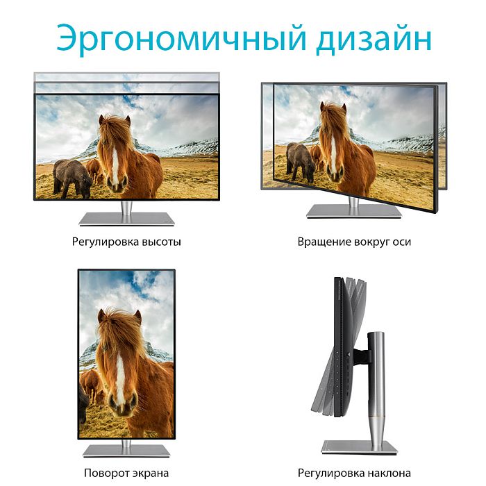 WQHD монитор ASUS ProArt PA27AC - фото 6