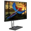 4K монитор BenQ PV3200PT - фото 2