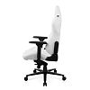 Компьютерное игровое кресло DXRacer CRA/D5000/W - фото 1