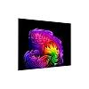 4K телевизор LG OLED83G6RLA - фото 3