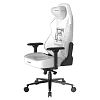 Компьютерное кресло DXRacer CRA/DL5000/THINKER - фото 3