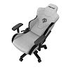Компьютерное кресло AndaSeat T-Pro 2, серый (AD12XLLA-01-GB-F) - фото 5