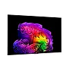 4K телевизор LG OLED65G6RLA - фото 2