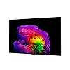 4K телевизор LG OLED77G6RLA - фото 5