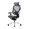 Премиум эргономичное кресло GT Chair VIDA X, черный (GTC-VIDA-X-BK) - фото 1