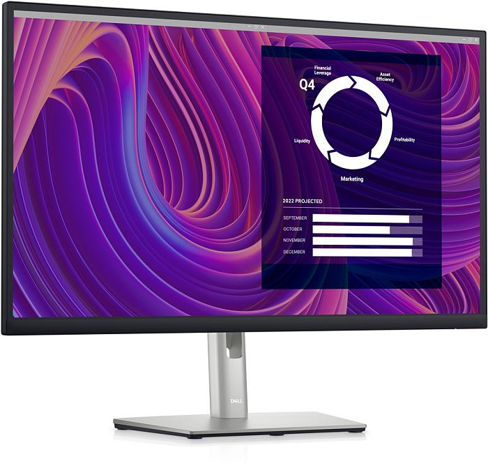 WQHD монитор Dell P2423D - фото 2