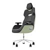 Компьютерное кресло Thermaltake Argent E700 Gaming Chair Matcha Green (GGC-ARG-BMLFDL-01) - фото 1