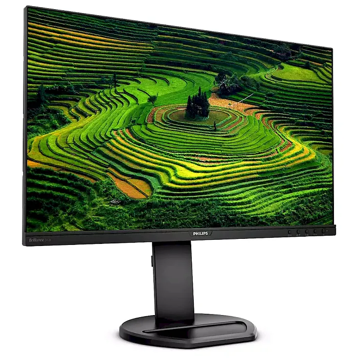 Full HD монитор Philips 241B8QJEB (00/01) - фото 2