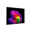 4K телевизор LG OLED65G6RLA - фото 3