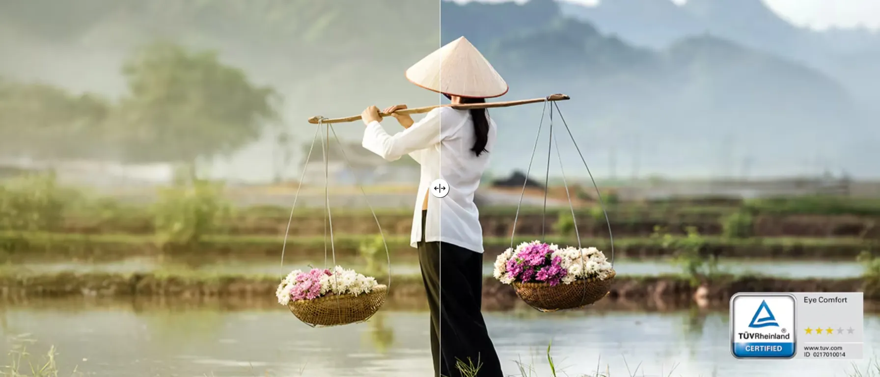 Монитор Dell SE2426HG