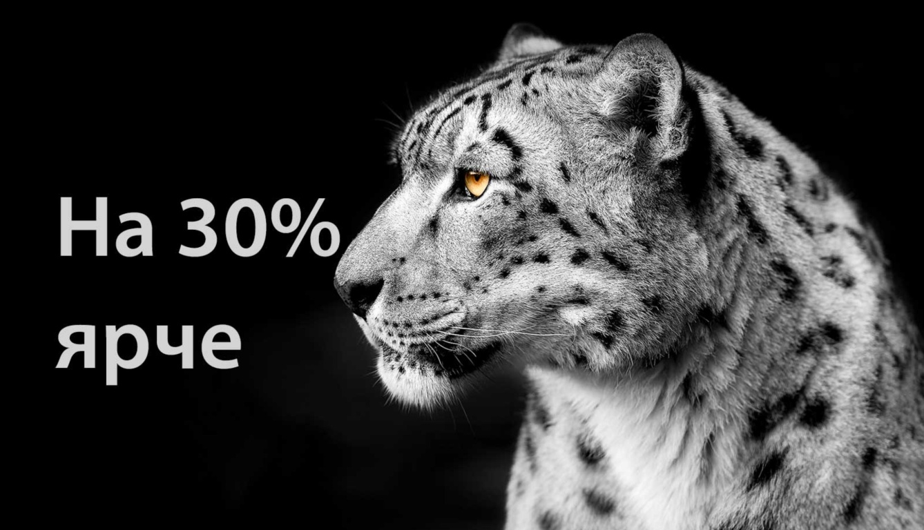 Телевизор LG OLED83C4RLA