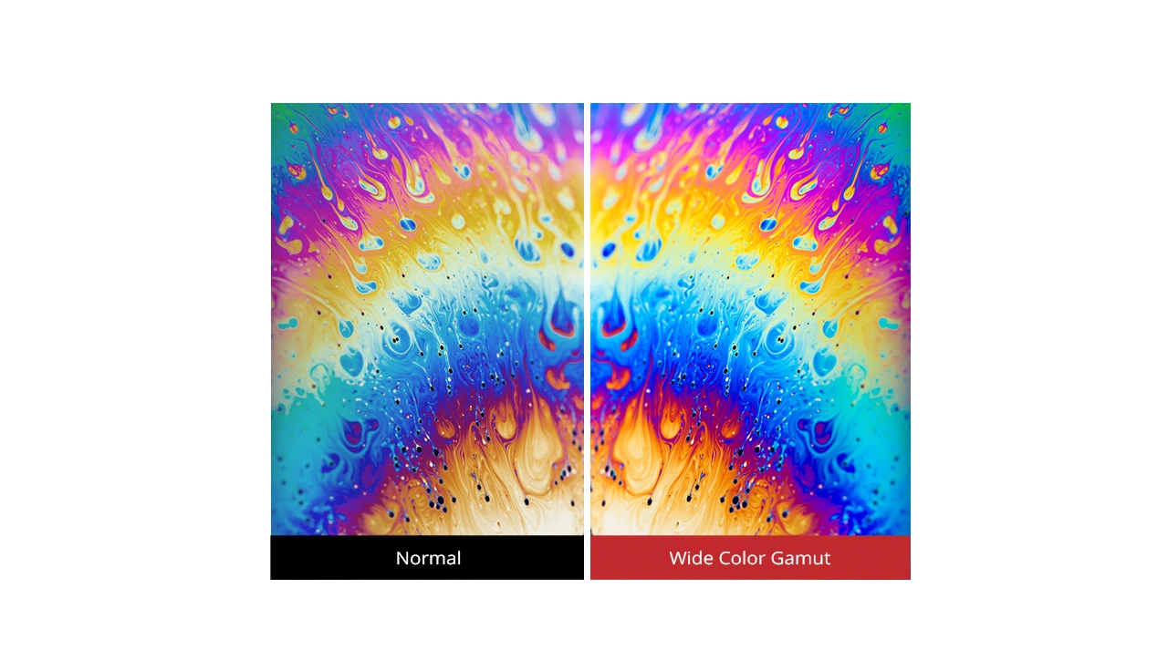 Viewsonic VX2458-C-mhd