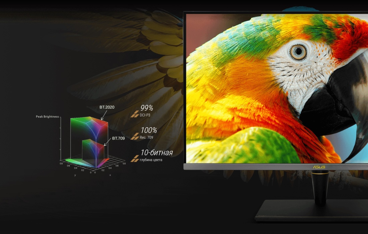 Монитор ASUS ProArt PA32UCX-PK