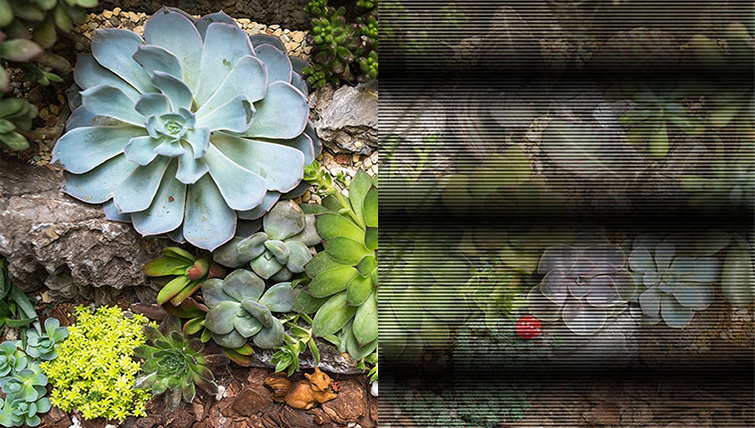 Монитор ASUS ProArt PA34VCNV