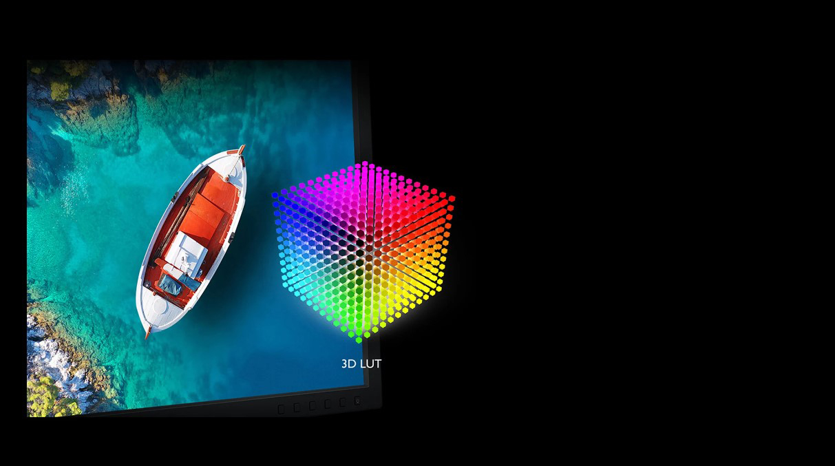 Монитор BenQ SW240