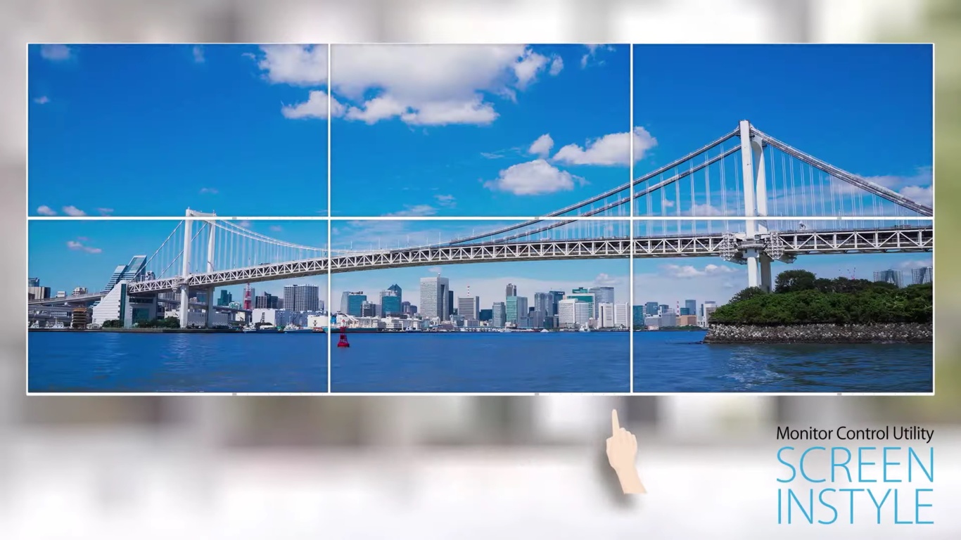 Монитор Eizo FlexScan EV2456