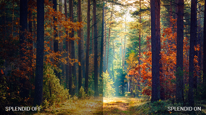 Монитор ASUS VA24EQSB