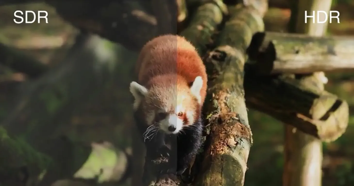 Монитор Eizo ColorEdge CG3100X